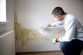 Mold Remediation for Vacation Homes in Ballplay, AL